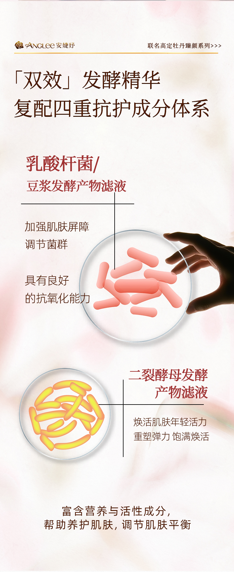 牡丹双酵四抗眼霜详情_09