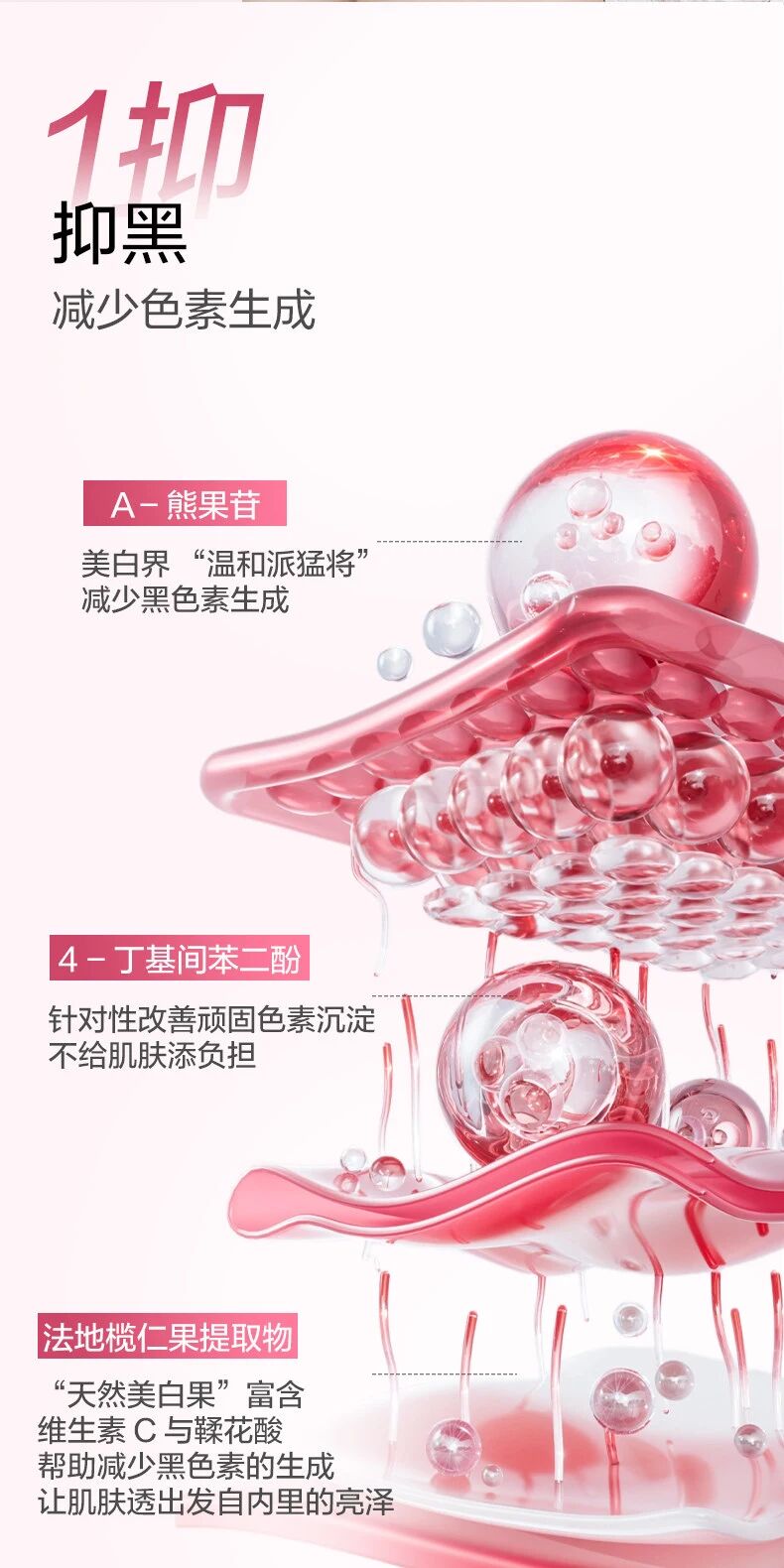 微信图片_2026-02-06_132605_608